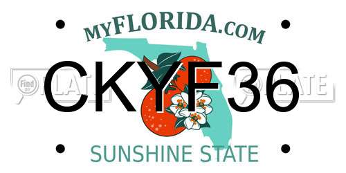 CKYF36 Florida License Plate