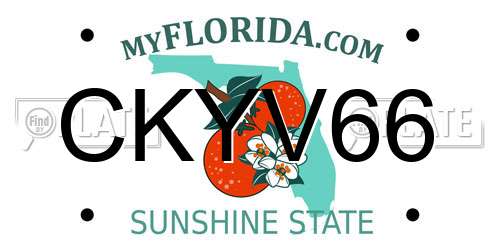 CKYV66 Florida License Plate