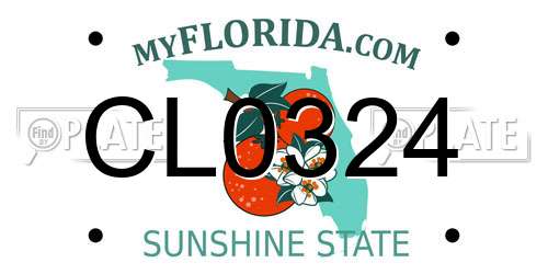 CL0324 Florida License Plate