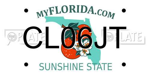 CL06JT Florida License Plate