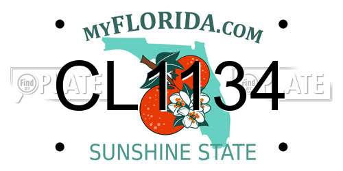 CL1134 Florida License Plate