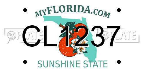 CL1237 Florida License Plate