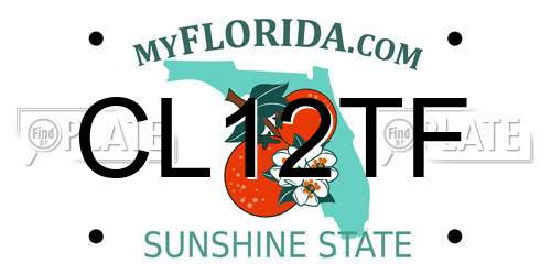 CL12TF Florida License Plate