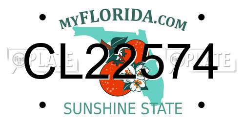 CL22574 Florida License Plate
