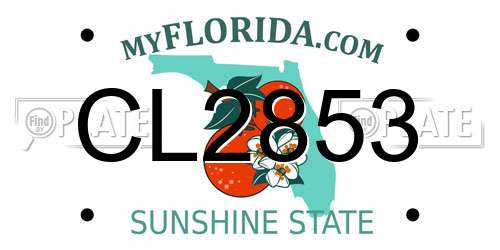 CL2853 Florida License Plate