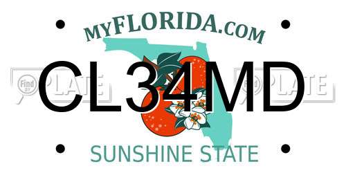 CL34MD Florida License Plate