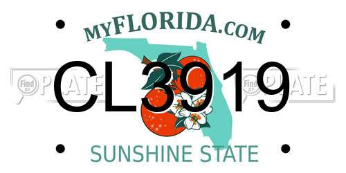 CL3919 Florida License Plate