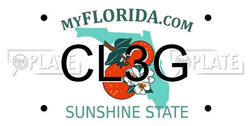 CL3G Florida License Plate