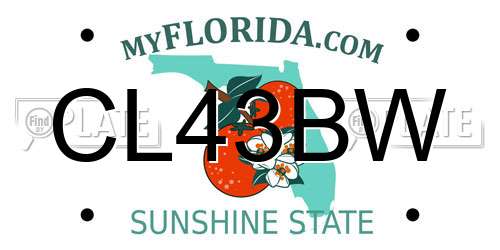 CL43BW Florida License Plate