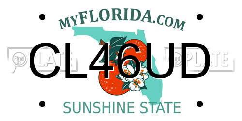 CL46UD Florida License Plate