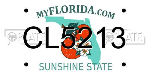 CL5213 Florida License Plate