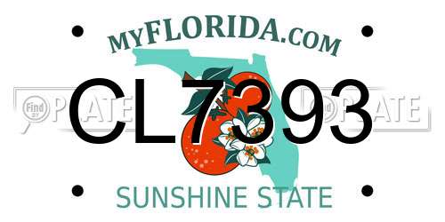 CL7393 Florida License Plate