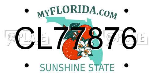 CL77876 Florida License Plate