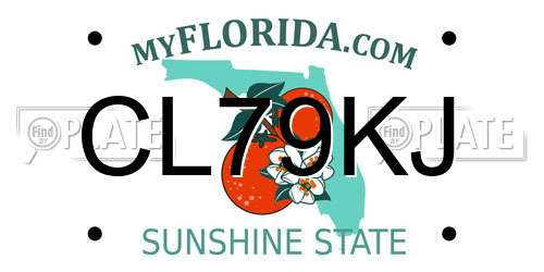 CL79KJ Florida License Plate