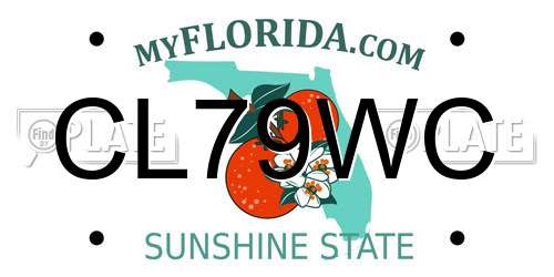 CL79WC Florida License Plate