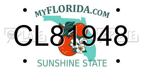 CL81948 Florida License Plate
