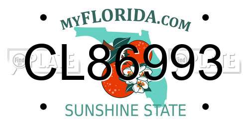 CL86993 Florida License Plate