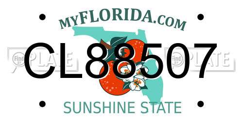 CL88507 Florida License Plate