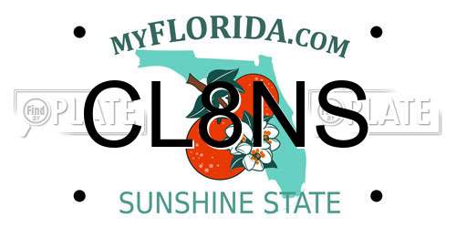 CL8NS Florida License Plate