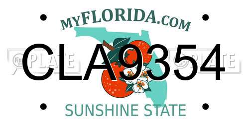 CLA9354 Florida License Plate