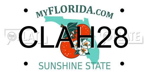 CLAH28 Florida License Plate