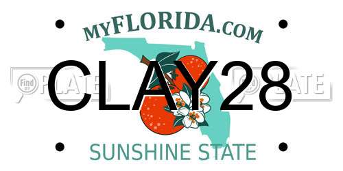 CLAY28 Florida License Plate