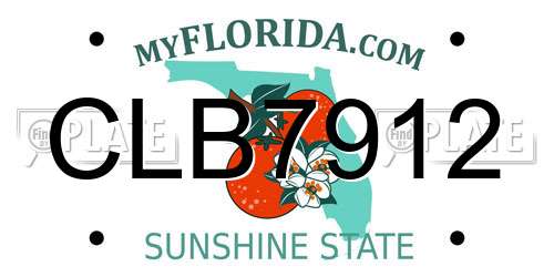 CLB7912 Florida License Plate
