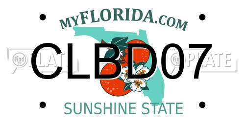 CLBD07 Florida License Plate