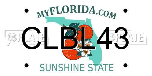 CLBL43 Florida License Plate