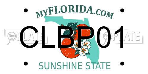 CLBP01 Florida License Plate