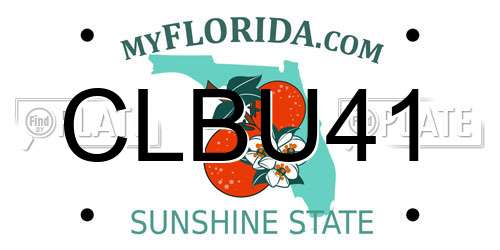 CLBU41 Florida License Plate