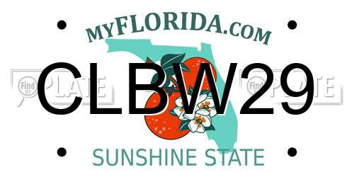 CLBW29 Florida License Plate