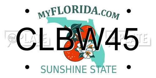 CLBW45 Florida License Plate
