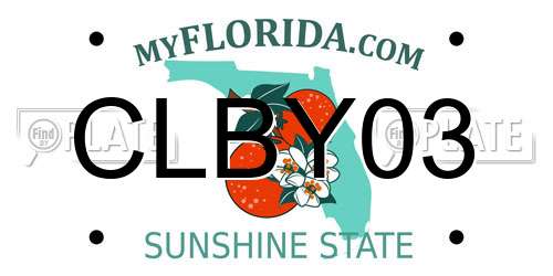 CLBY03 Florida License Plate