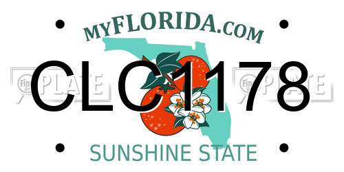 CLC1178 Florida License Plate
