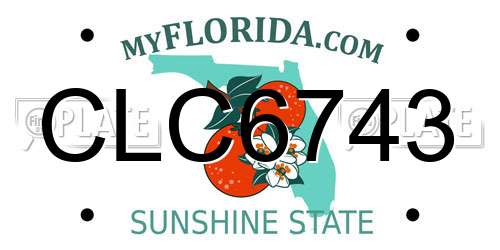 CLC6743 Florida License Plate