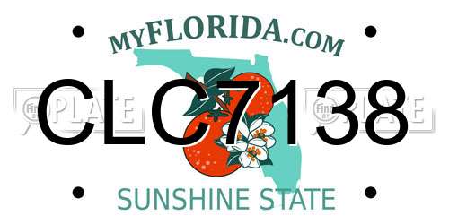 CLC7138 Florida License Plate