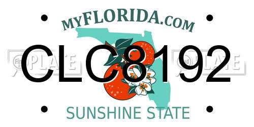 CLC8192 Florida License Plate