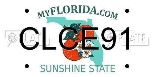 CLCE91 Florida License Plate