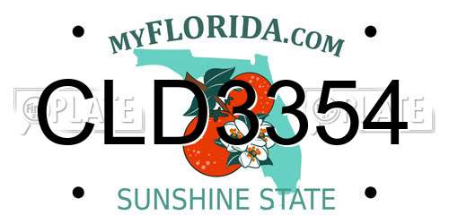 CLD3354 Florida License Plate