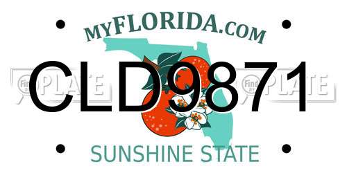 CLD9871 Florida License Plate