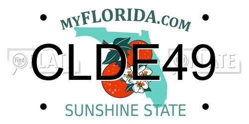 CLDE49 Florida License Plate