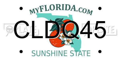 CLDQ45 Florida License Plate