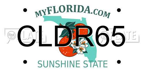 CLDR65 Florida License Plate