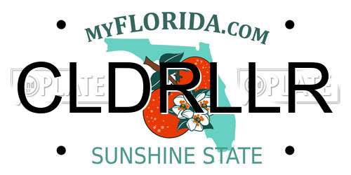 CLDRLLR Florida License Plate