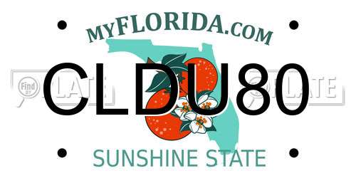 CLDU80 Florida License Plate