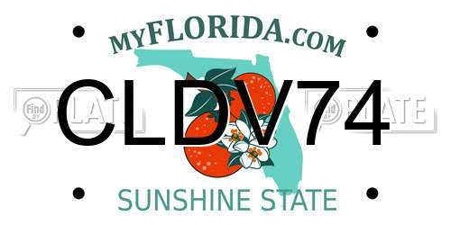 CLDV74 Florida License Plate