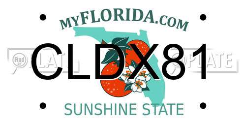 CLDX81 Florida License Plate