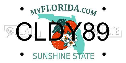 CLDY89 Florida License Plate