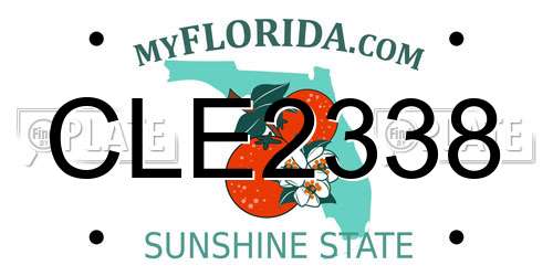 CLE2338 Florida License Plate